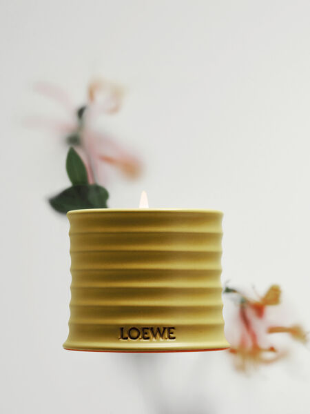 LOEWE I Christmas